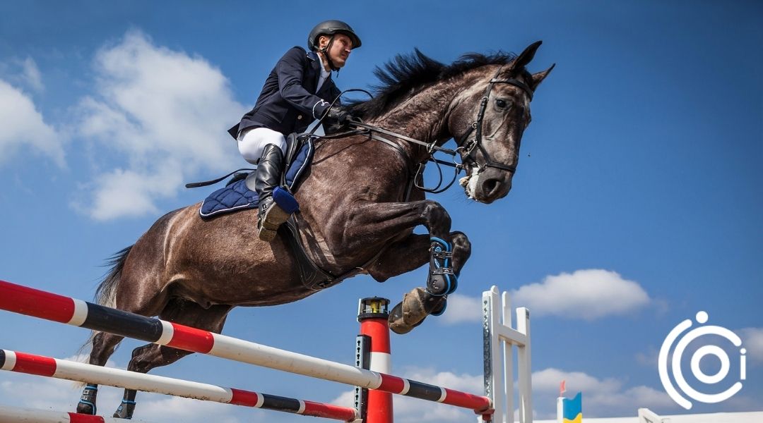 Veteriner Sağlık Görseli