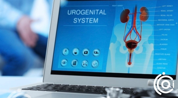 Üroloji - Kadın Doğum